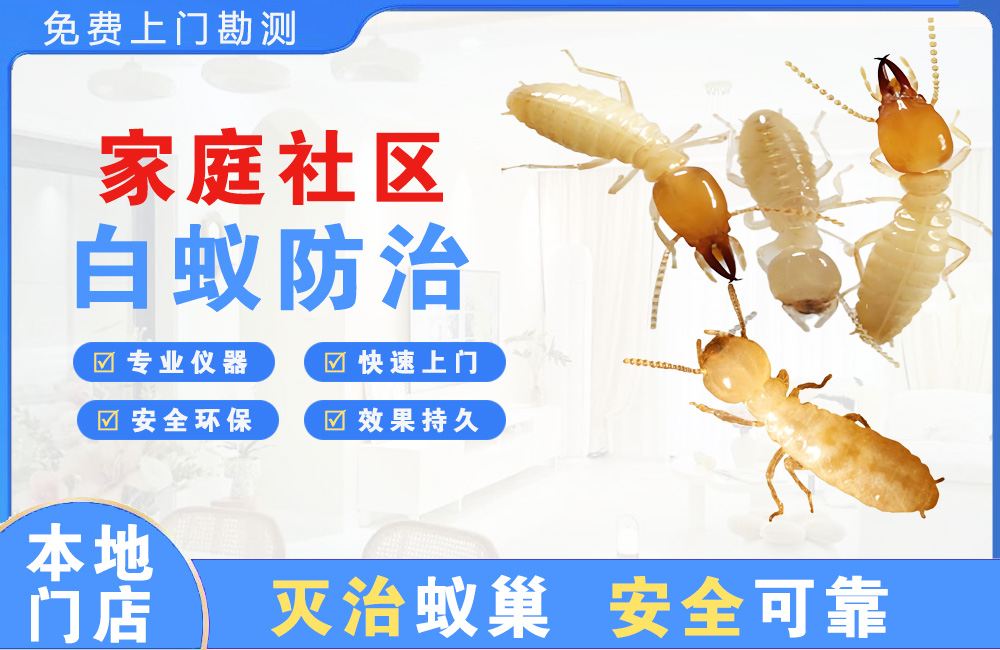 仁怀家庭社区白蚁防治