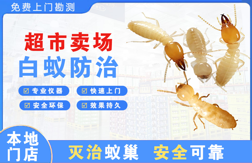 仁怀超市卖场白蚁防治