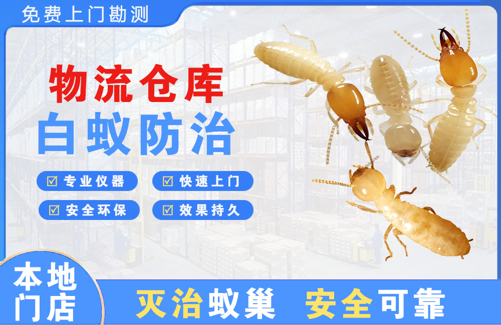 仁怀物流仓库白蚁防治