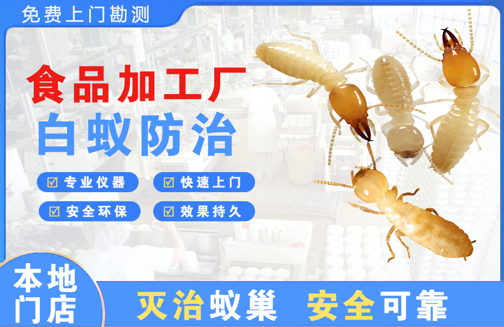 仁怀食品加工厂白蚁防治