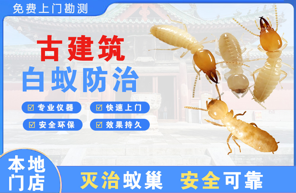 仁怀古建筑白蚁防治
