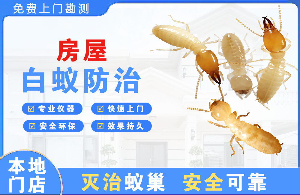 仁怀房屋白蚁防治